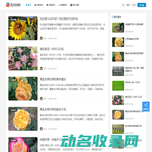 月季苗木批发基地